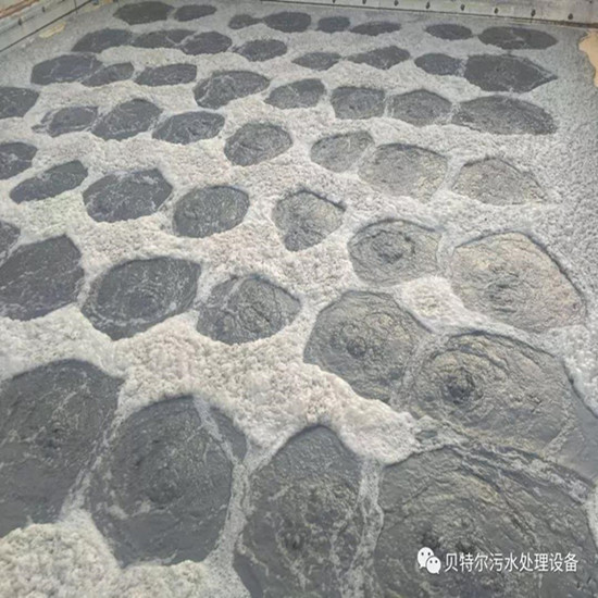 山東貝特環(huán)保出口設(shè)備成功運行！
